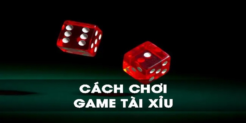 Hướng dẫn cách chơi Tài Xỉu cơ bản qua từng giai đoạn