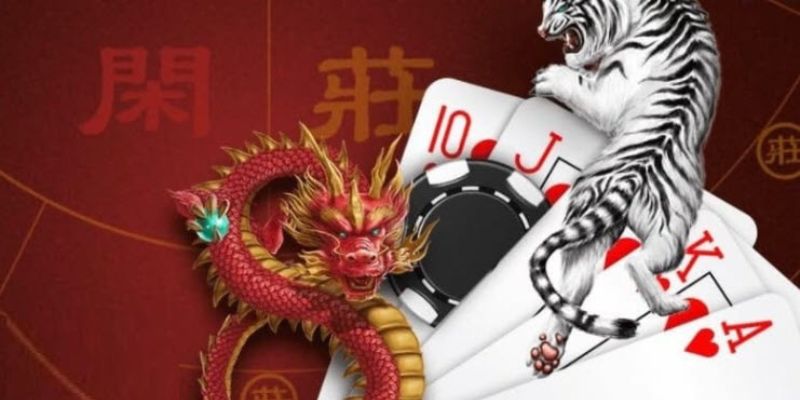 Lựa chọn nền tảng cá cược uy tín như Kubet77