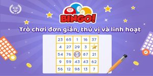 Cách Chơi Bingo Đầy Đủ Và Chính Xác Cho Tân Binh 2024